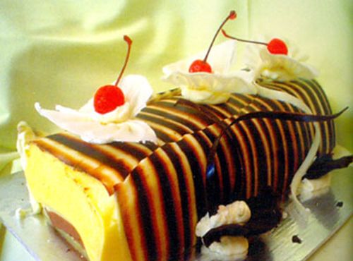 Bánh Buche mứt socola